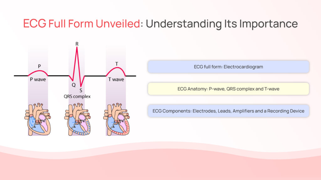 ECG Full Form Unveiled: Understanding Its Importance
