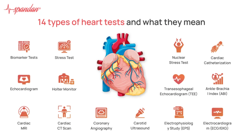 14 Types of Heart Tests and What they Mean?