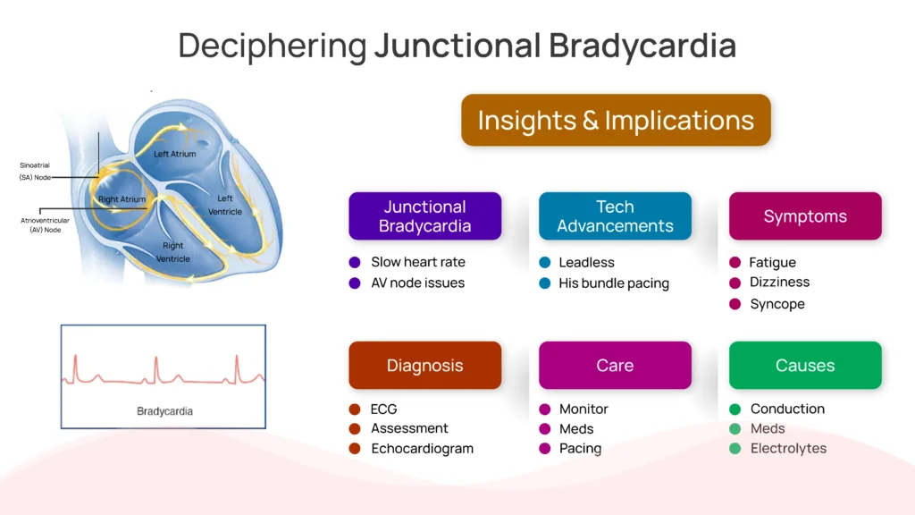 Deciphering Junctional Bradycardia: Insights & Implications
