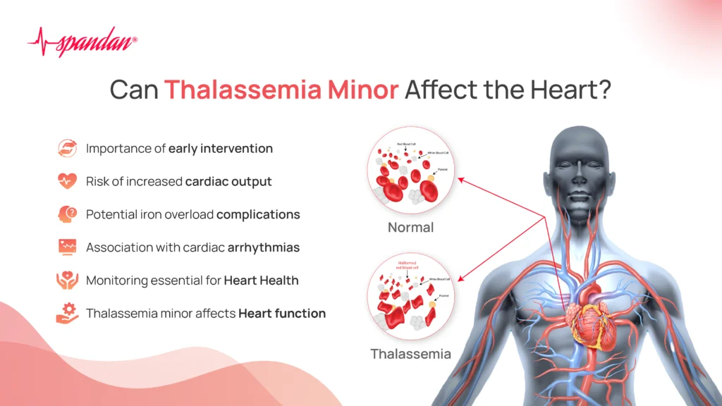 Can Thalassemia Minor Affect the Heart?