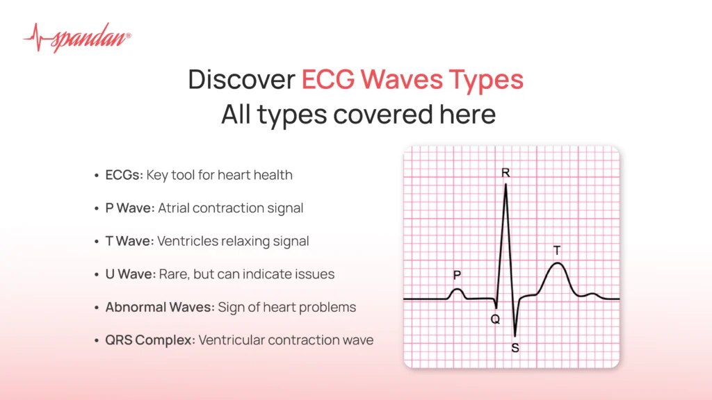 Discover ECG Wave Types: All types covered here
