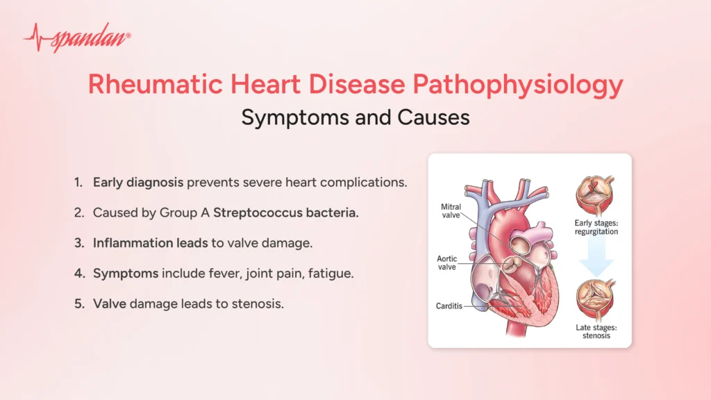 Rheumatic Heart Disease Pathophysiology: Symptoms and Causes