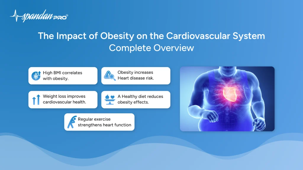 The Impact of Obesity on the Cardiovascular System: Complete Overview
