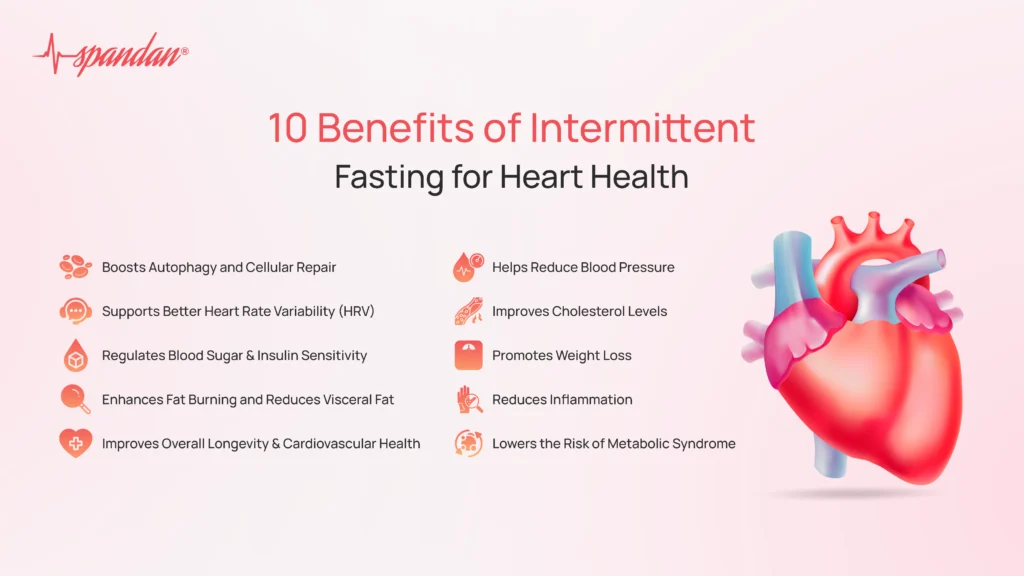 10 Benefits of intermittent fasting for heart health