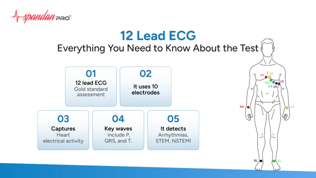12 Lead ECG: Everything You Need to Know About the Test