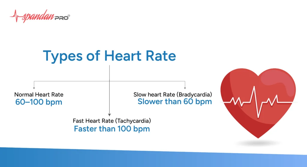 heart rate