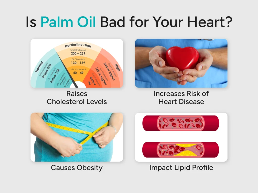 Is Palm Oil Bad for Your Heart
