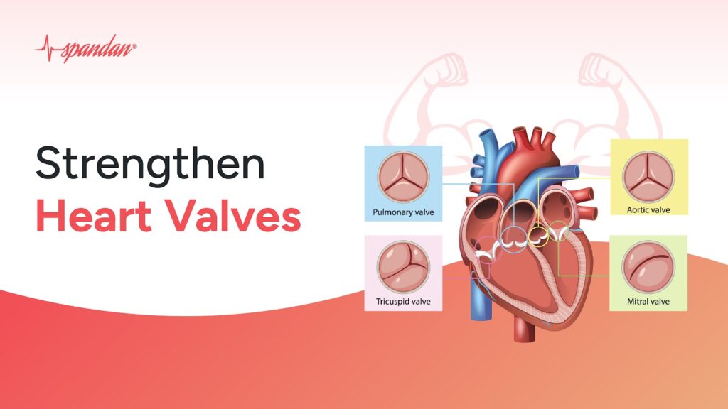 How to Strengthen Heart Valves Naturally: 7 Proven Ways